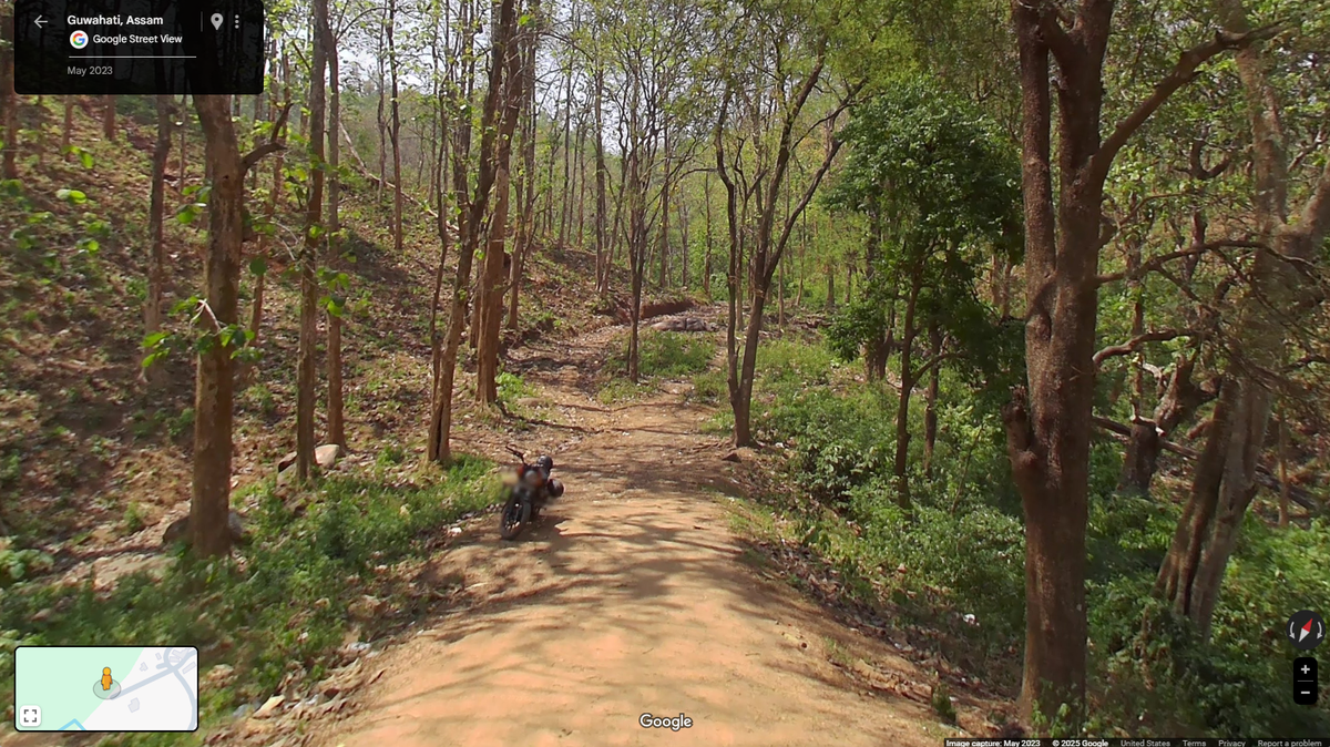 Scientists found “stocky” creatures with “fiery orange” eyes mating in a forest of India and discovered a new species, a study said.