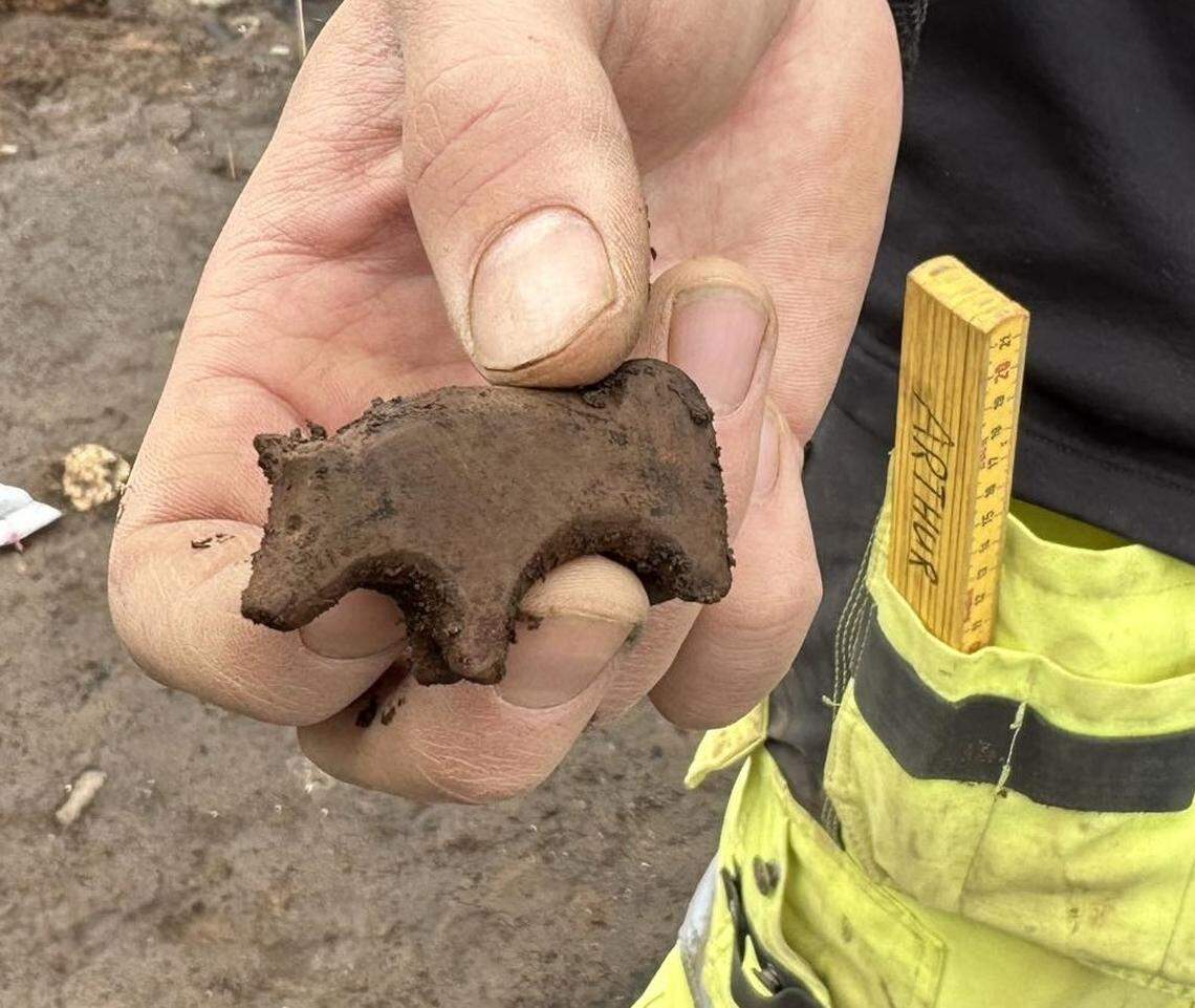 The Viking-age animal carving likely used as a toy.