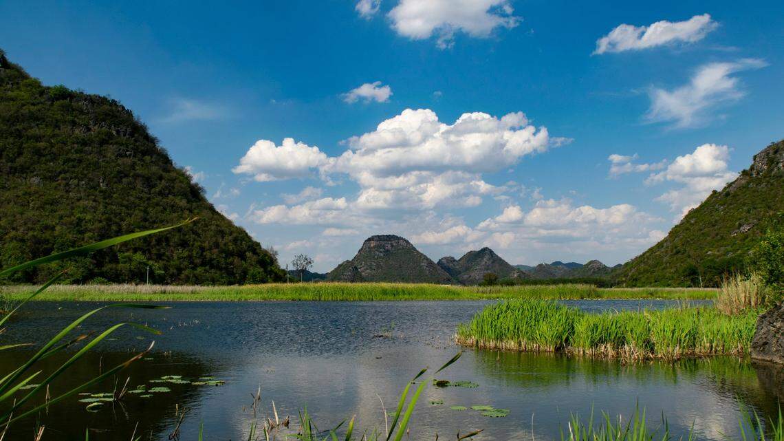 Scientists in China found a 2-foot-long predator with a “mesh pattern” on its eyes and discovered a new species, a study said.