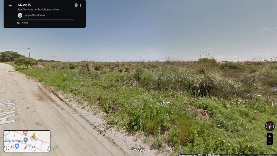 Scientists found an “unusual” animal with a reddish stripe and ultrasonic song in Argentina and discovered a new species, a study said.