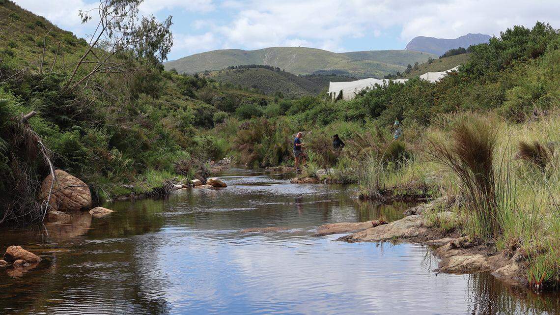 Scientists found “large”-eyed creature with “sickle shaped” mouth in a river of South Africa and discovered a new species, a study said.