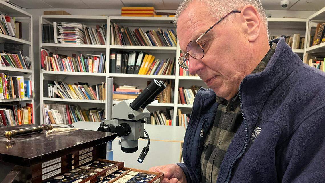 A volunteer sorting old microscope slides at a Leeds museum stumbled upon 3,000-year-old bread crumbs from Egypt.
