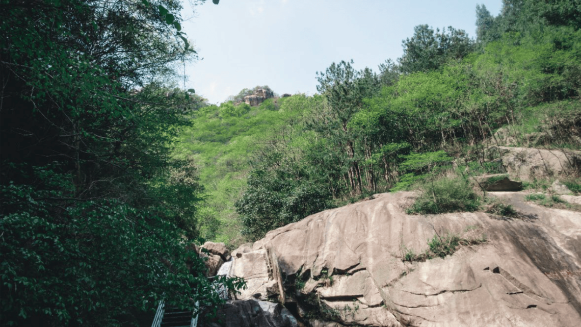 Scientists discovered spiky, clawed animals with “aggressive tendencies” lurking in the Dabie Mountains in China and discovered a new species, a study said.