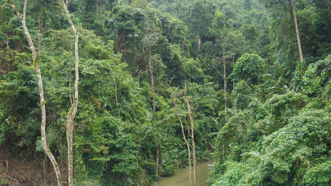 Scientists in Vietnam found a “long”-legged creature with a row of “dagger-like” spines on its back and discovered a new species, a study said