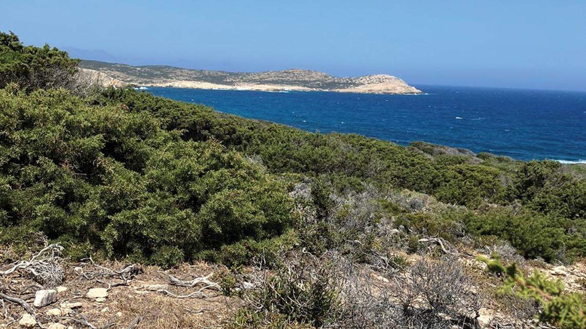 Scientists visited Despotiko island to survey wildlife and recorded two first-of-their-kind sightings, a study said and photos show.