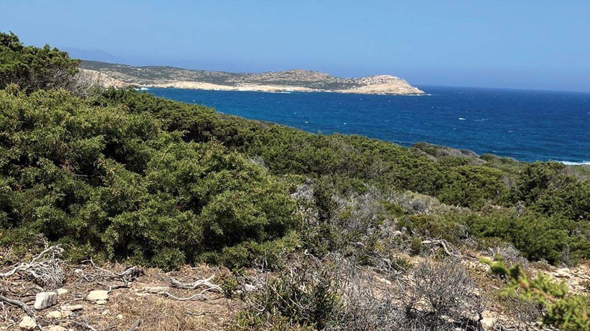 Scientists visited Despotiko island to survey wildlife and recorded two first-of-their-kind sightings, a study said and photos show.