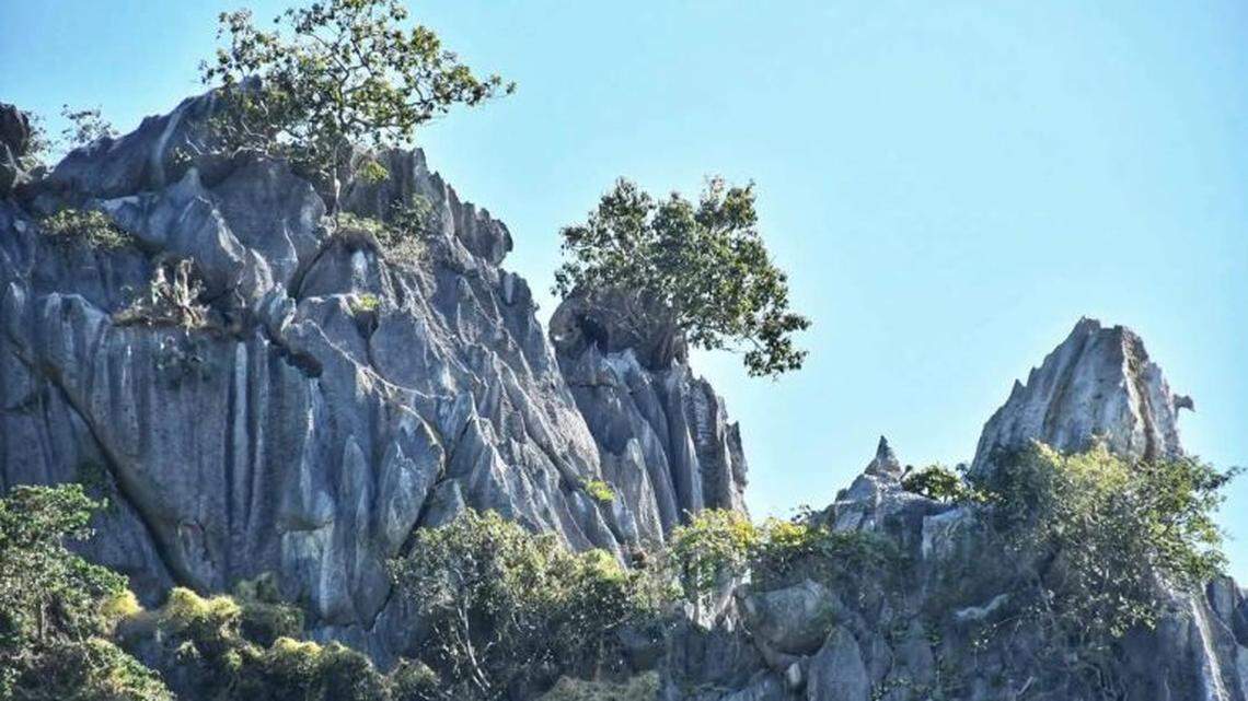 Wildlife patrols at Khao Sam Roi Yot National Park spotted a serow, rare goat-like mammal, on a steep cliff, officials said and photos show.