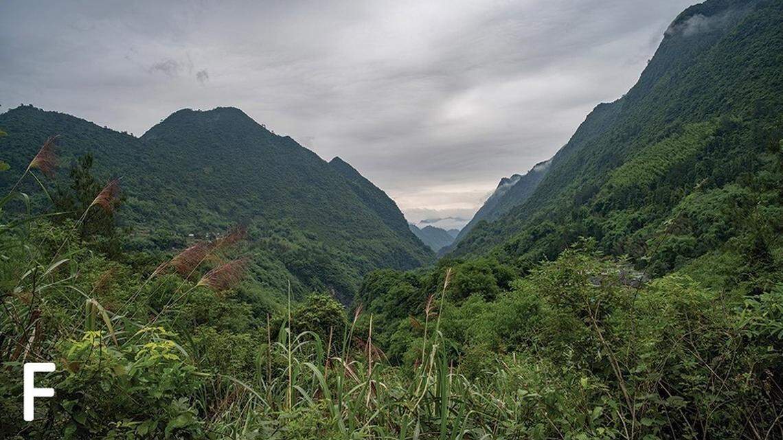 Scientists found a “large”-eyed creature with “slender” toes lurking in rock formations in China and discovered a new species, a study said.