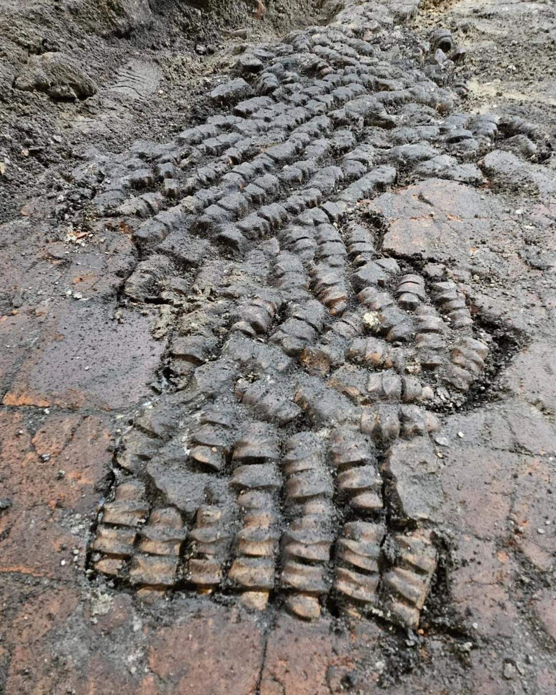 The centuries-old bone floor found as seen up close.