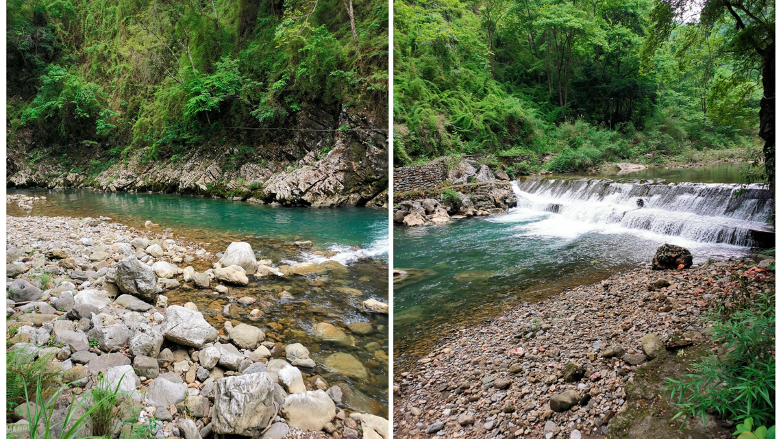 Scientists found a “large”-eyed river creature with “diamond-shaped patterns” in China and discovered a new species, a study said.