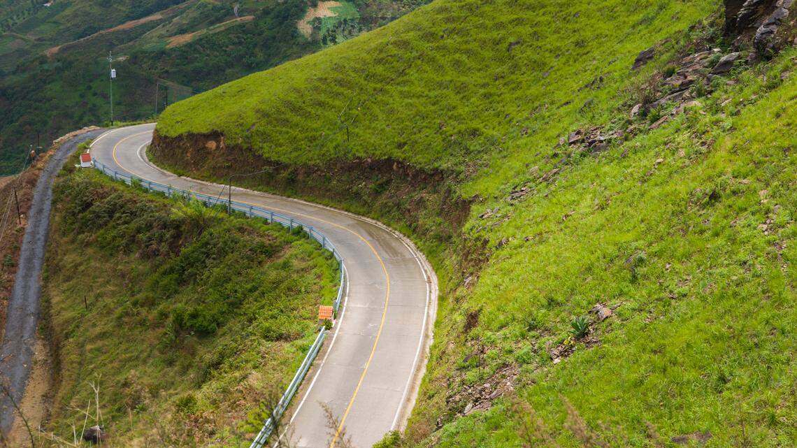 Scientists found a venomous 1-foot-long creature on a road in Venezuela and discovered a “cryptic” new species, a study said.