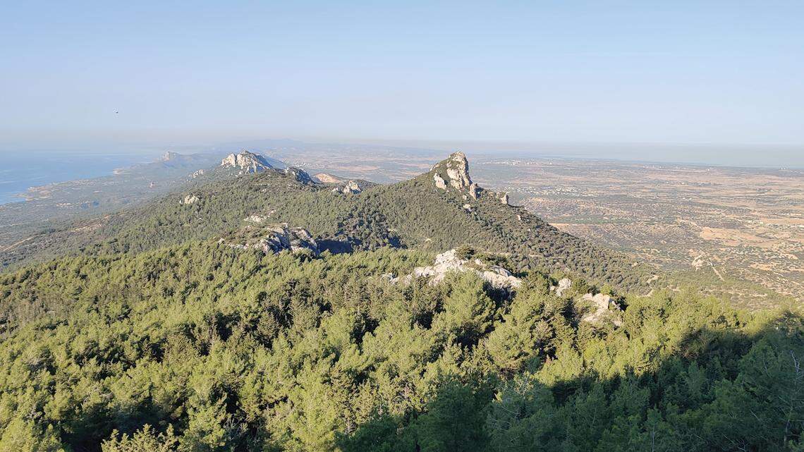 The new species is widely distributed throughout the eastern Mediterranean, including Croatia, Greece, Cyprus and Turkey.