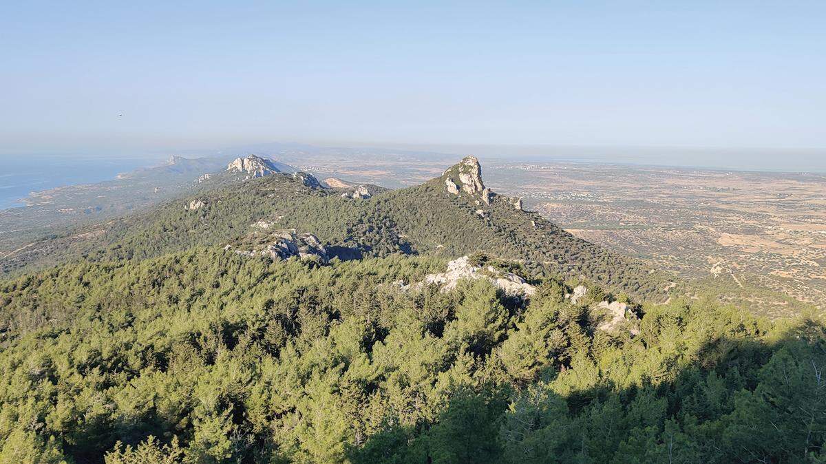 The new species is widely distributed throughout the eastern Mediterranean, including Croatia, Greece, Cyprus and Turkey.