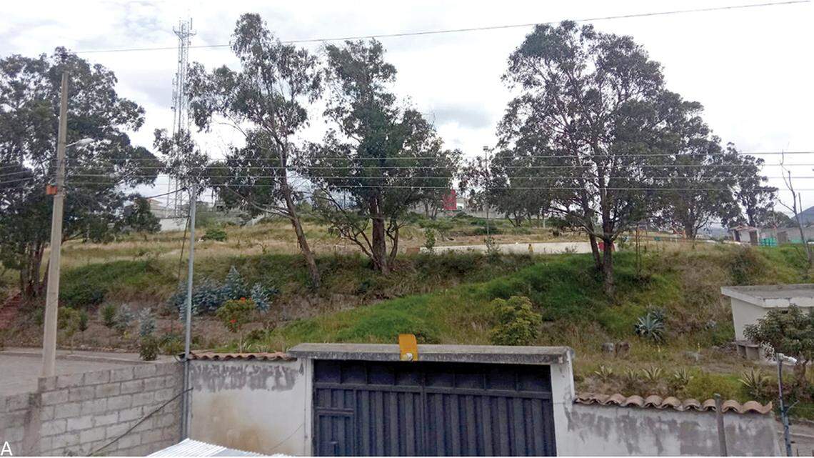 Scientists found a six-eyed animal with fangs in a garage of Pichincha and discovered a new species, a study said.