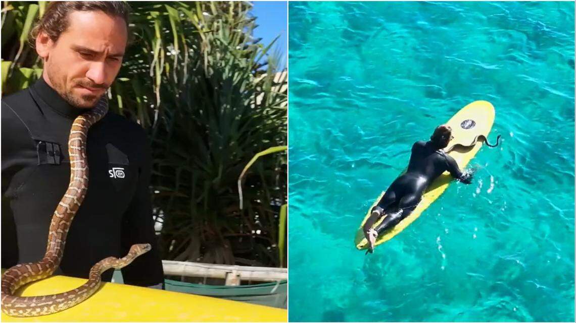 Surfer Higor Fiuza took his pet python for a ride on the swells of the Australia Gold Coast, video shows.