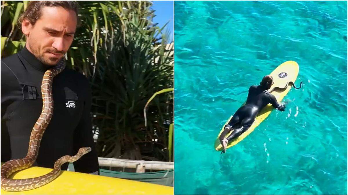 Surfer Higor Fiuza took his pet python for a ride on the swells of the Australia Gold Coast, video shows.