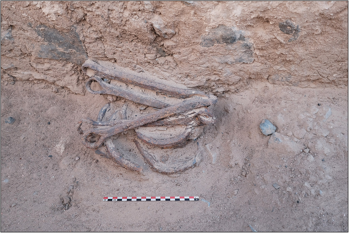 Ancient iron shackles found in Ghozza.