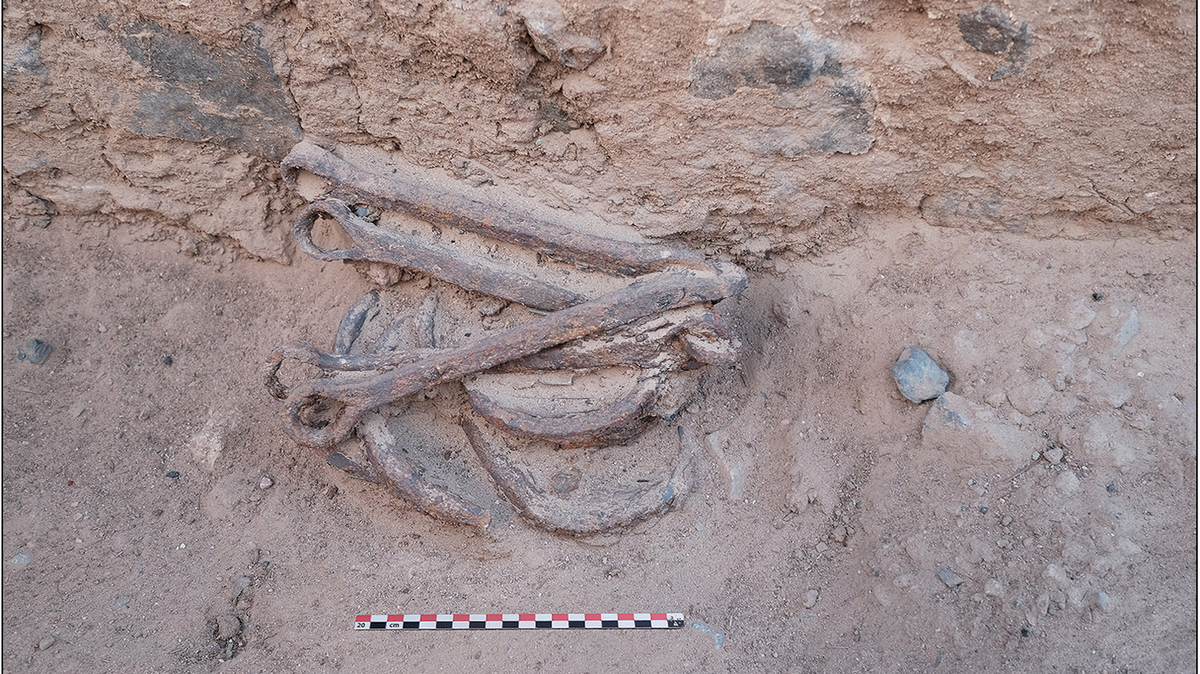 Archaeologists excavating the 2,200-year-old ruins of a gold mining village in Ghozza found two sets of metal shackles, a study said.