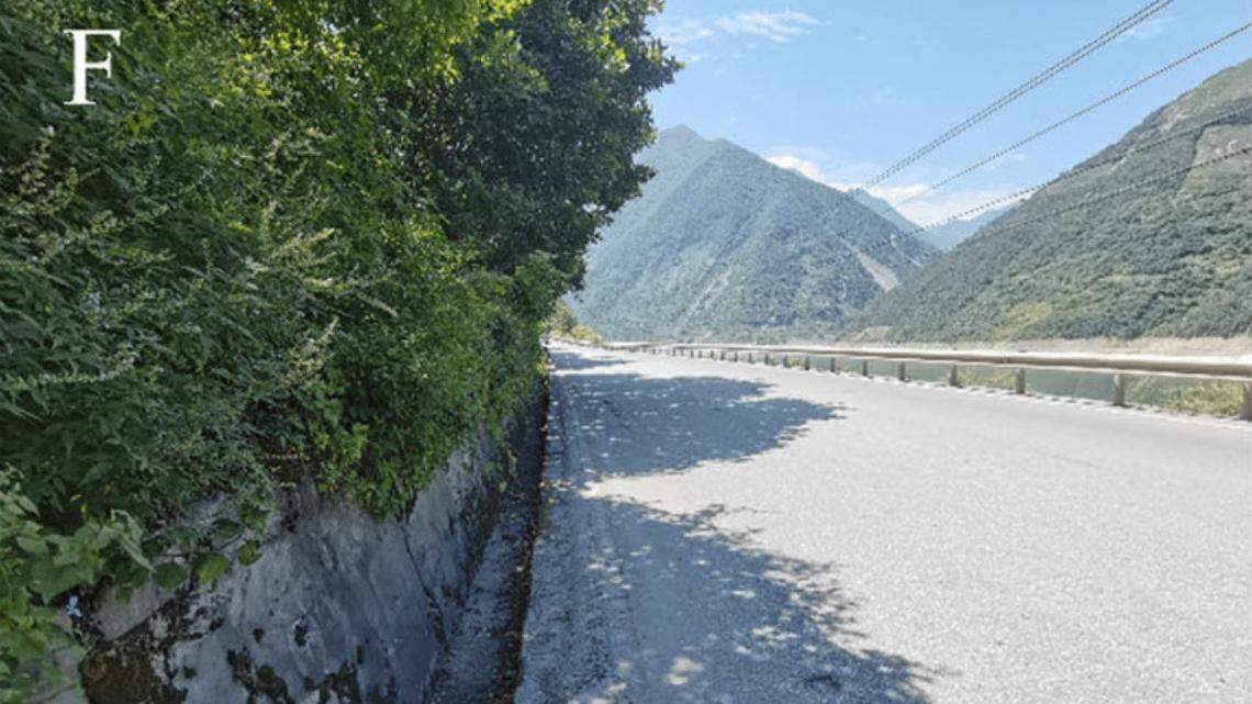 Scientists found a “large” pregnant animal in a mountain valley of China and discovered a new species, a study said.