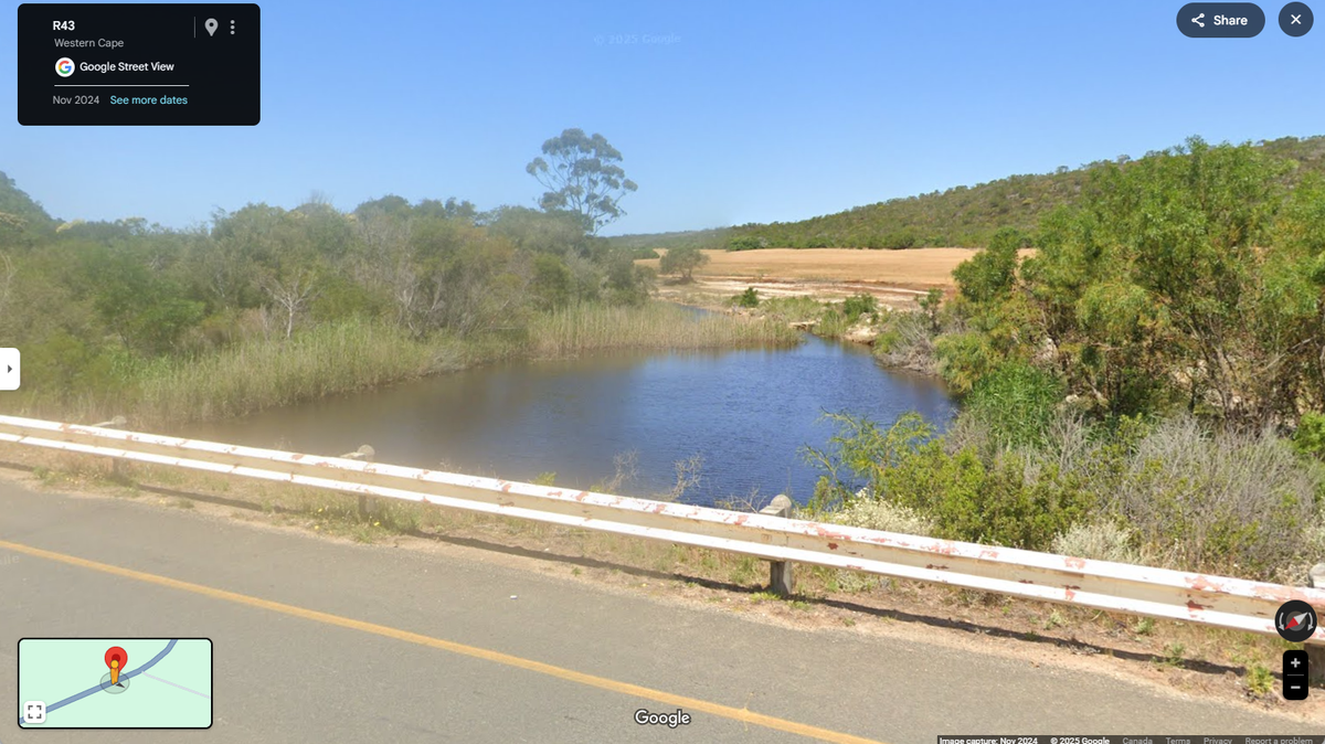 Scientists found a “long”-headed creature with a “sickle-shaped” mouth in a river of South Africa and discovered a new species, a study said.