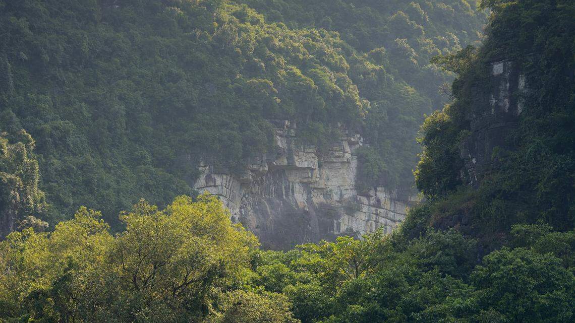 Researchers conducted interviews with local communities to learn more about possible sightings of this rare species, according to the study.