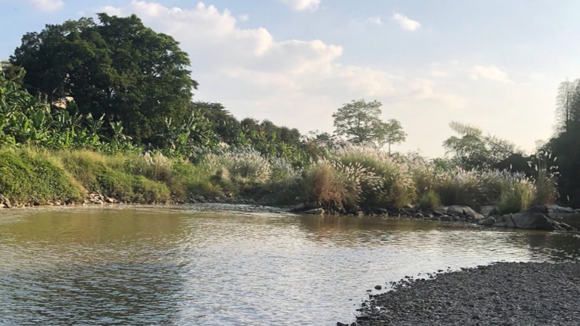 Scientists found a “shiny,” “silvery” creature with “hooked” teeth in a river of China and discovered a new species, a study said.