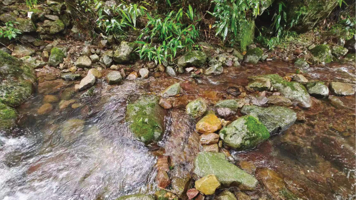 Scientists found patternless animal with “fleshy” lips in a mountain stream of Zhejiang and discovered a new species, a study said.