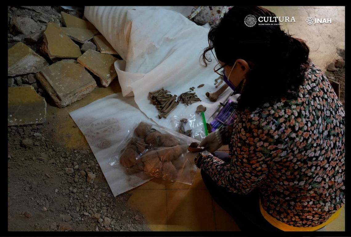 Some of the 19th century bones found at Valentín Gómez Farías Elementary School.