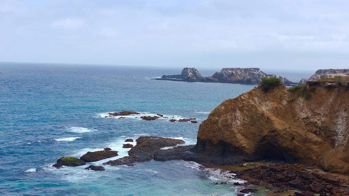 Anglers off the coast of Ecuador and Peru caught a “large” bottom-dwelling animal that scientists discovered as a new species, a study said.