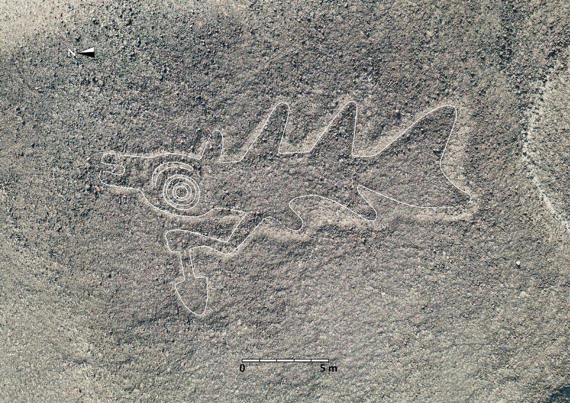 A 2,000-year-old Nazca geoglyph showing an orca with a knife. The figure was outlined in white by researchers.