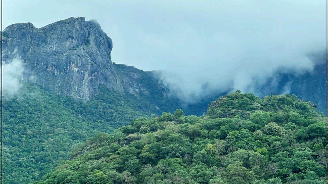 Scientists found a “sluggish” creature with red eyes and “long” fingers in a forest of India and discovered a new species, a study said.