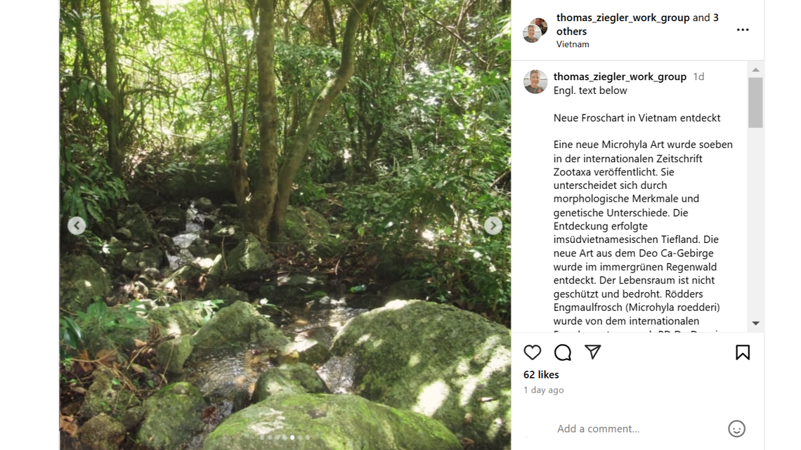 Scientists found a “copper”-eyed creature with “bumpy” skin on Deo Ca Mountain and discovered a new species, a study said.