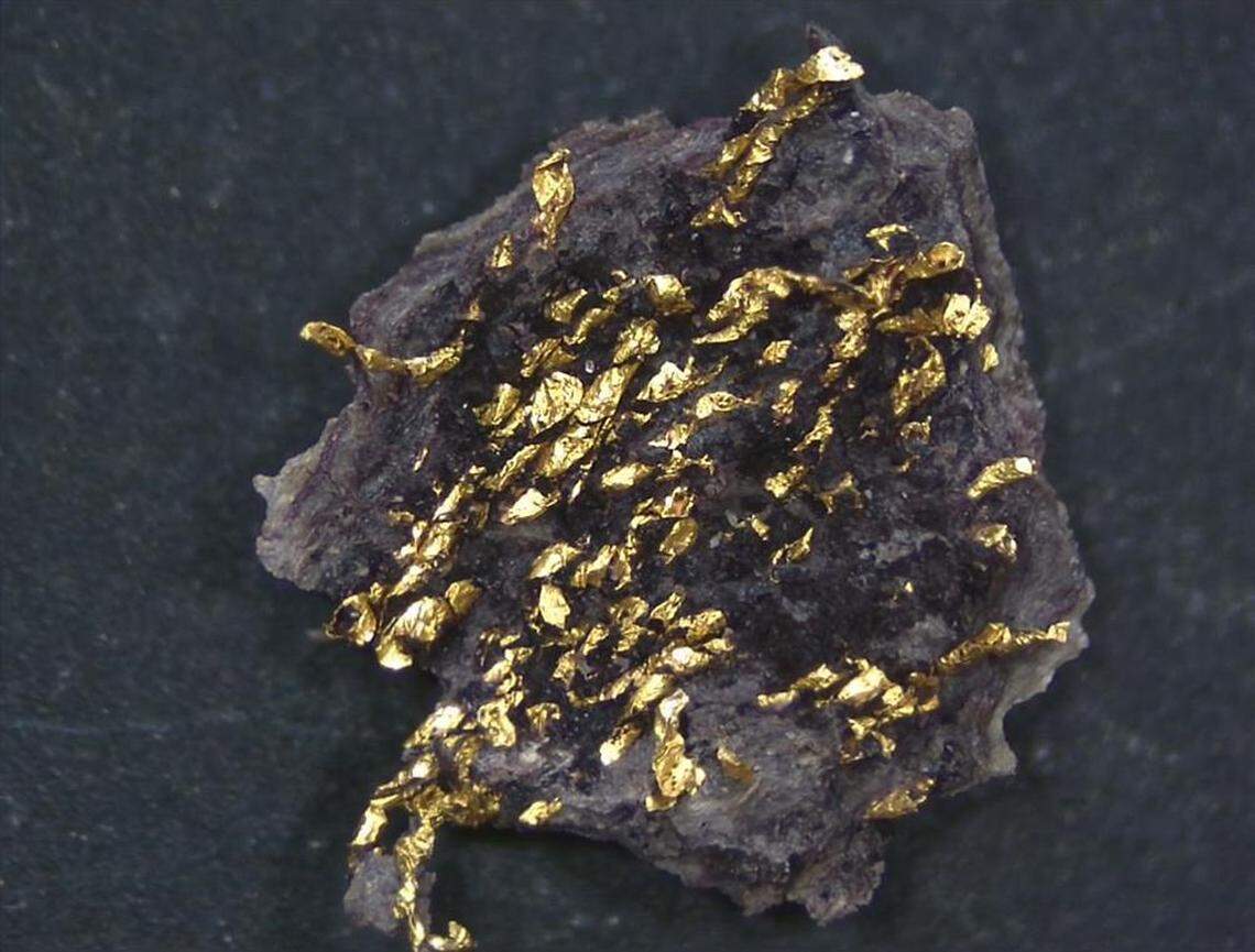 A purple fabric fragment with gold threads found in Burial 43.