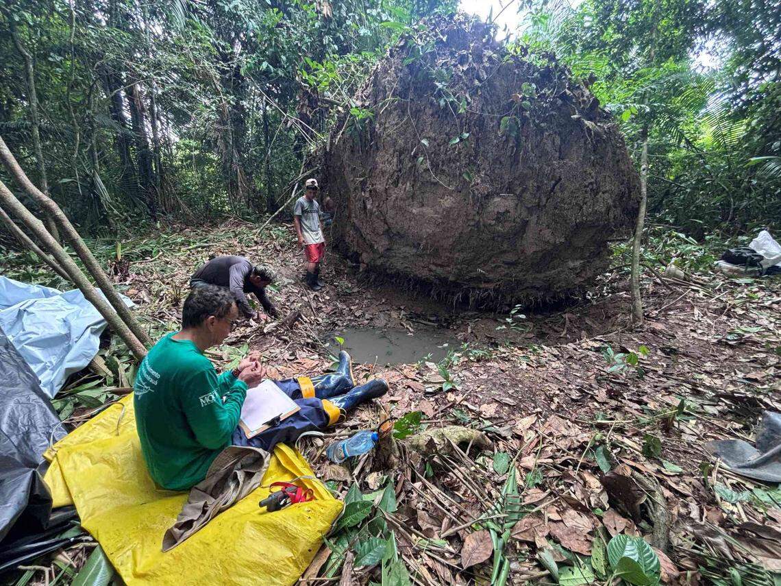 The remote site is about a 10-12 hour boat ride up the Amazon river, archaeologists said.
