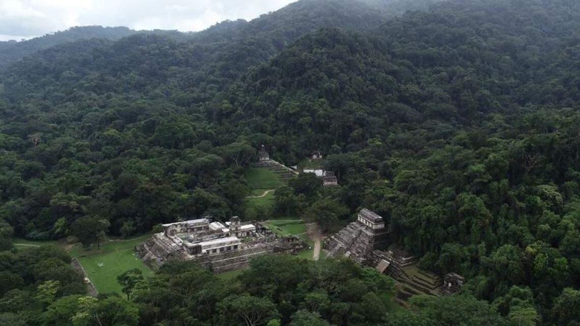 Archaeologists at an ancient Mayan palace in Palenque found two ritual offering deposits of crab and seafood left from elite feasts, photos show.