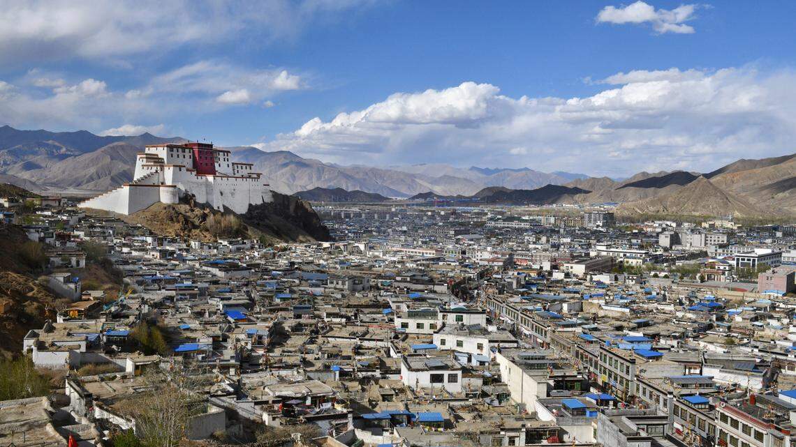 Scientists found an “agitated,” stinging creature hiding under rocks in Tibet and discovered a new species, a study said.