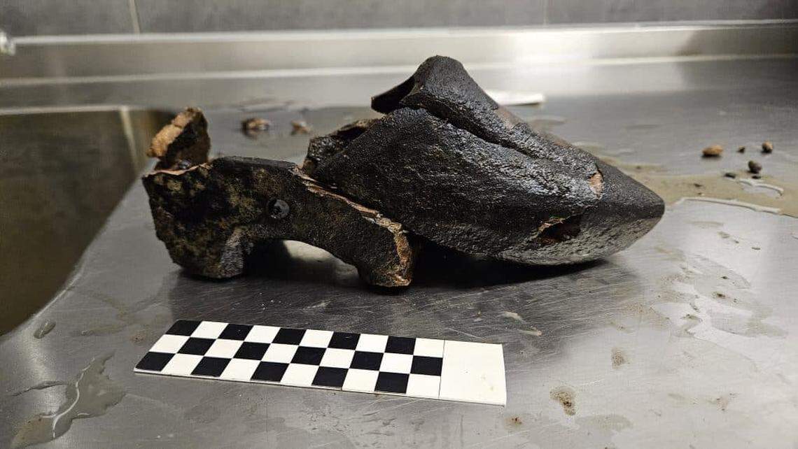 A 500-year-old clog found in the sewage pit in Alkmaar.