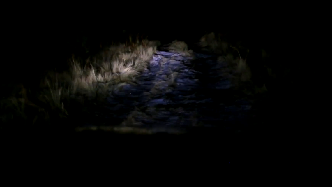 A night hiker outside Mexico City encountered a baby rattlesnake in a first-of-its-kind sighting for the region, a study said and photos show.