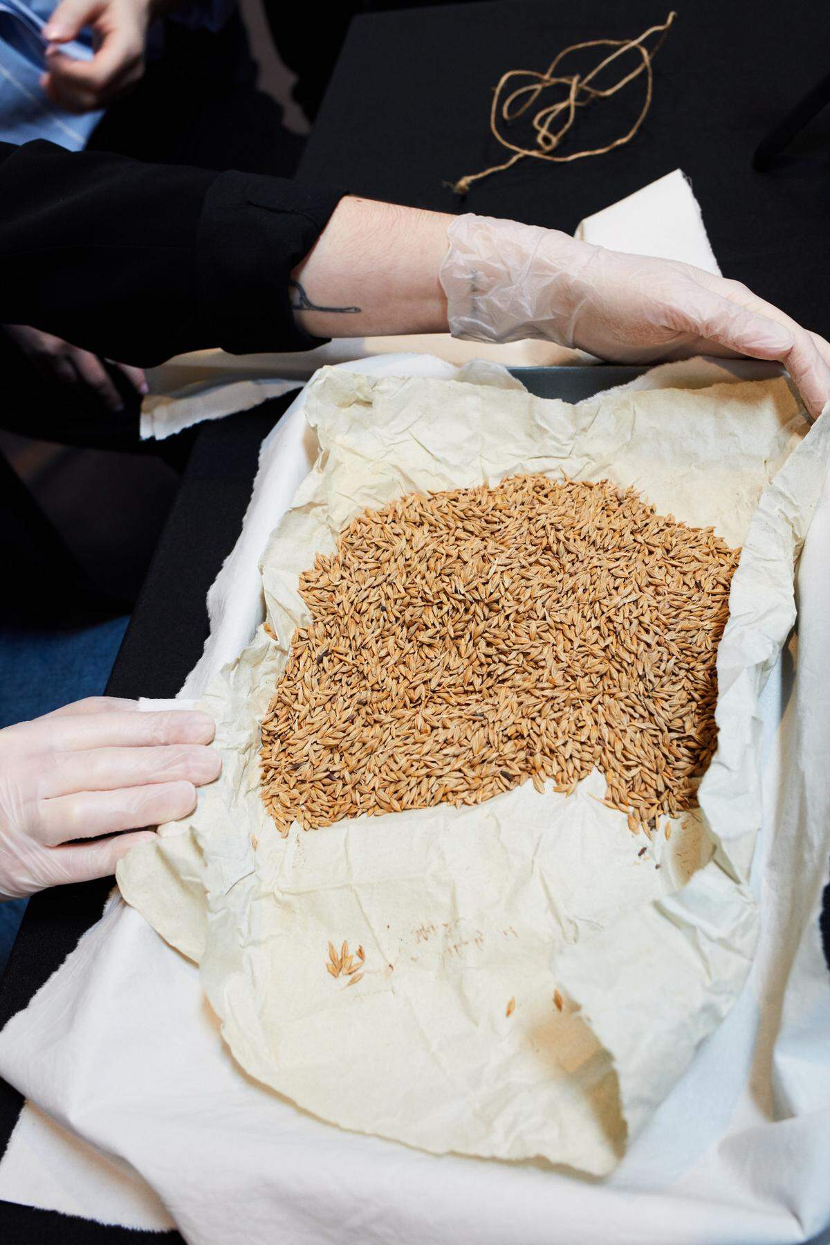 The barley found in a package from 1807.