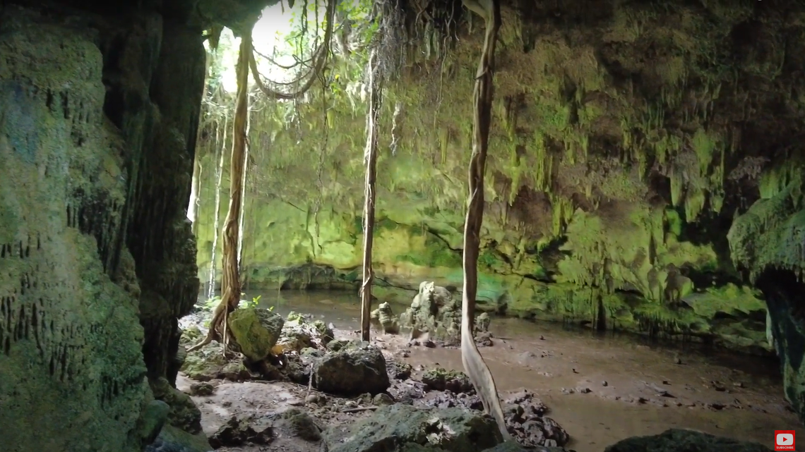 Scientists visiting a prehistoric site in the Philippines found a vulnerable bird, a Sulu boobook, perched near the cave entrance, a study said.