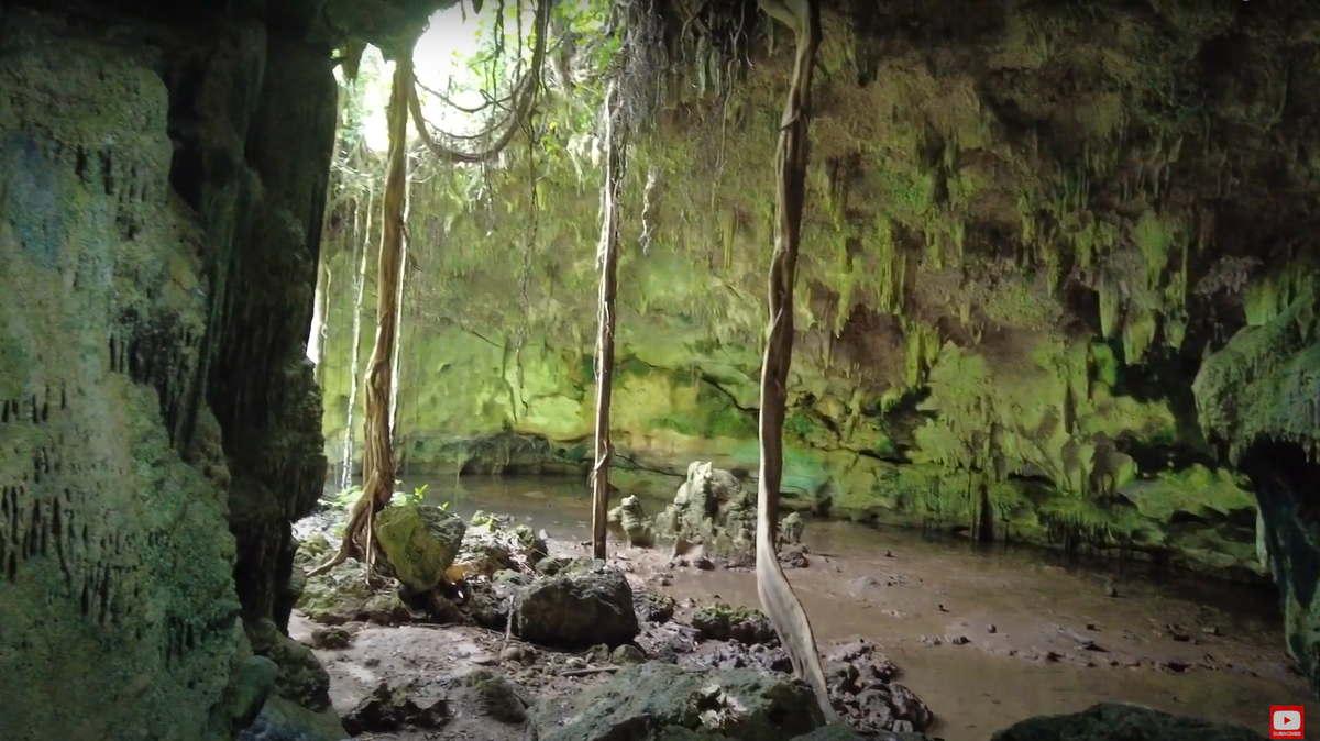 Scientists visiting a prehistoric site in the Philippines found a vulnerable bird, a Sulu boobook, perched near the cave entrance, a study said.