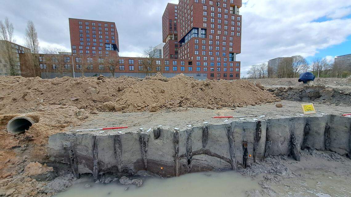 Archaeologists excavated a muddy canal in the Netherlands and found ancient Roman artifacts and wood posts from after a flood, officials said.
