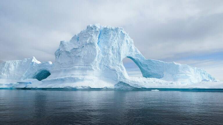 Prehistoric predators and creatures of the Antarctic: See latest new species