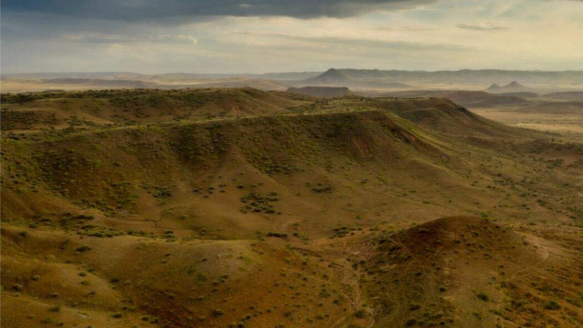 Scientists found a “miniature” creature running quickly on a gravel plain in Angola and discovered a new species, a study said.