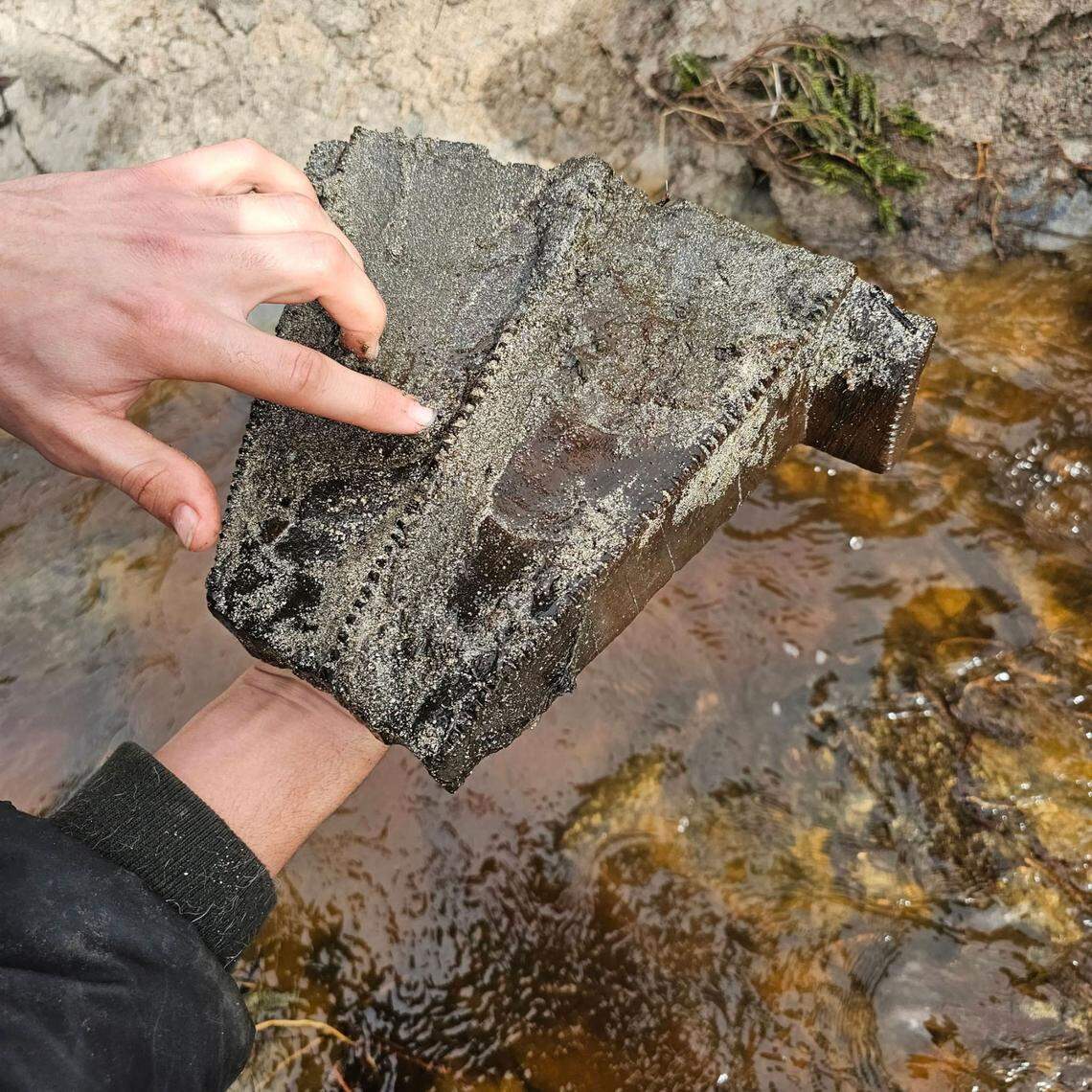 A carved wood piece found during the Chatham Island excavation.