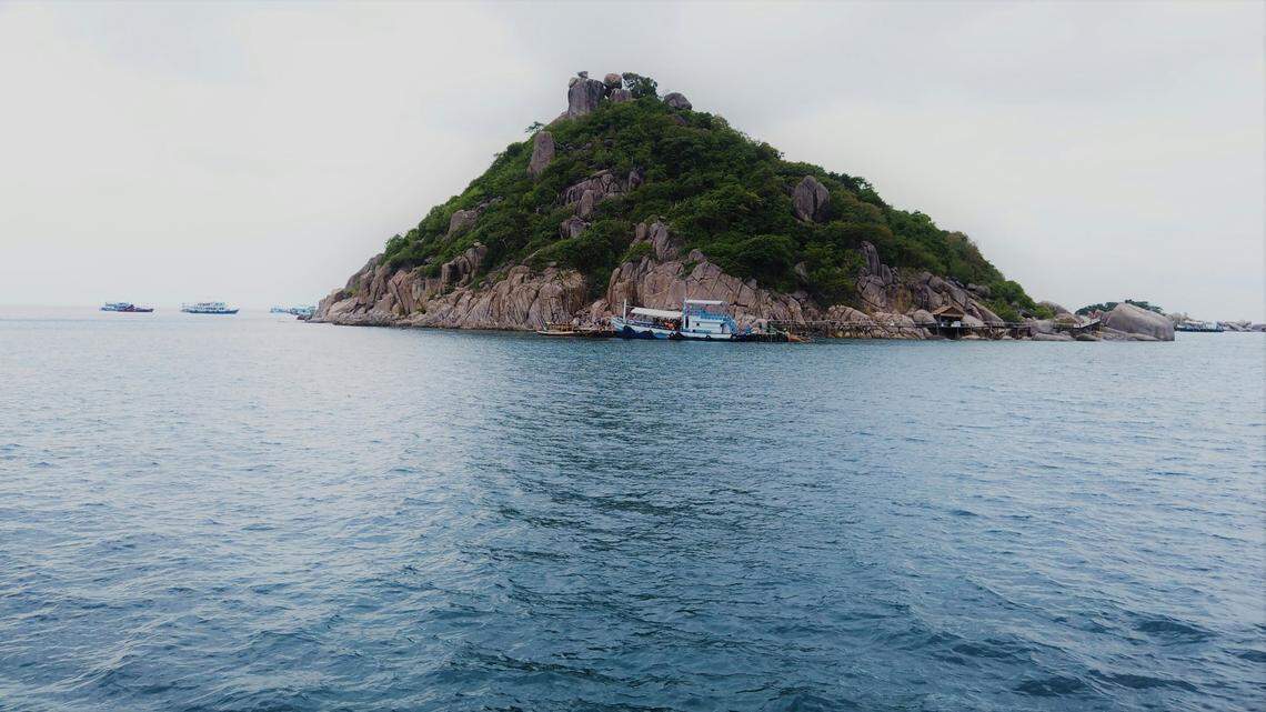 Scientists found a sea animal with odd-shaped growths on a coral reef in Thailand and discovered a new species, a study said. Photo shows a representative area of Koh Tao.