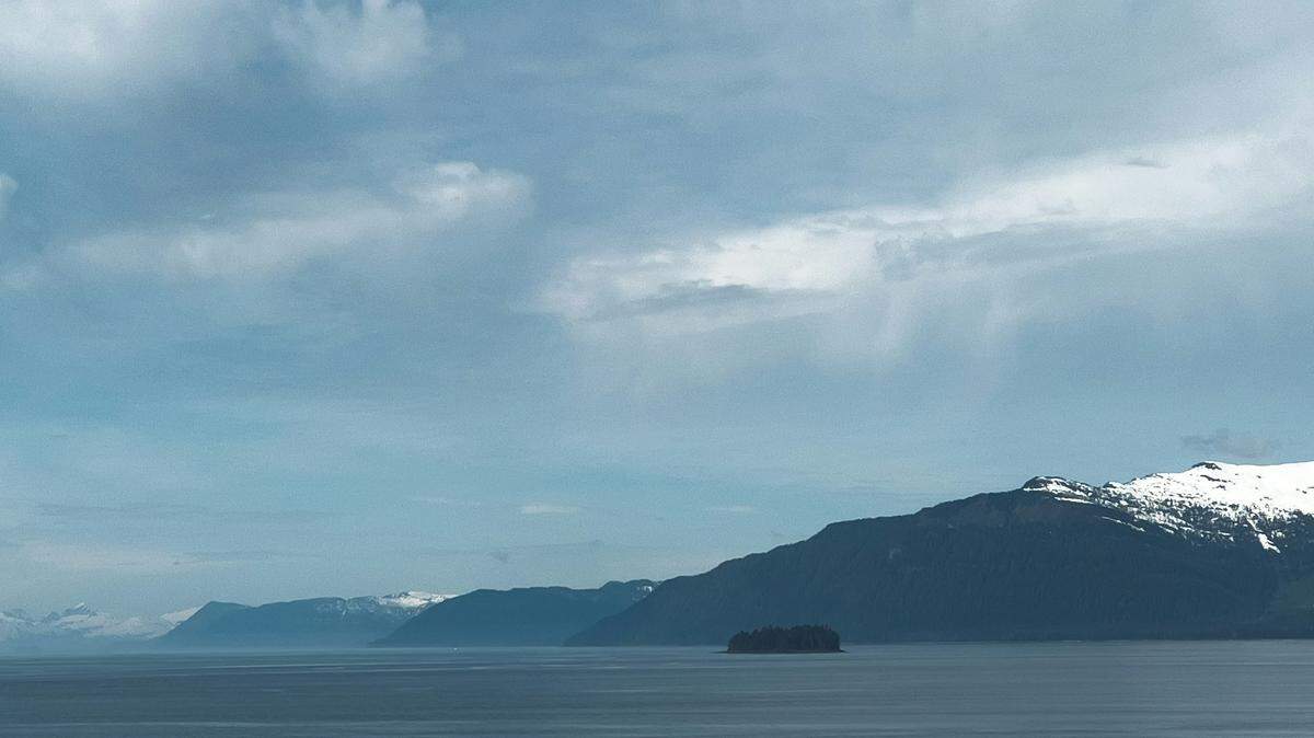 In the deep ocean of the Gulf of Alaska, a pink creature ooches along the bottom of the sea.