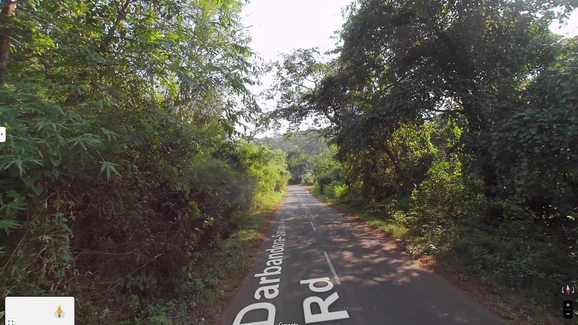 The Eurasian otter was found lying on the side of a rural road in Goa, India, with injuries from a vehicular strike, according to a study.