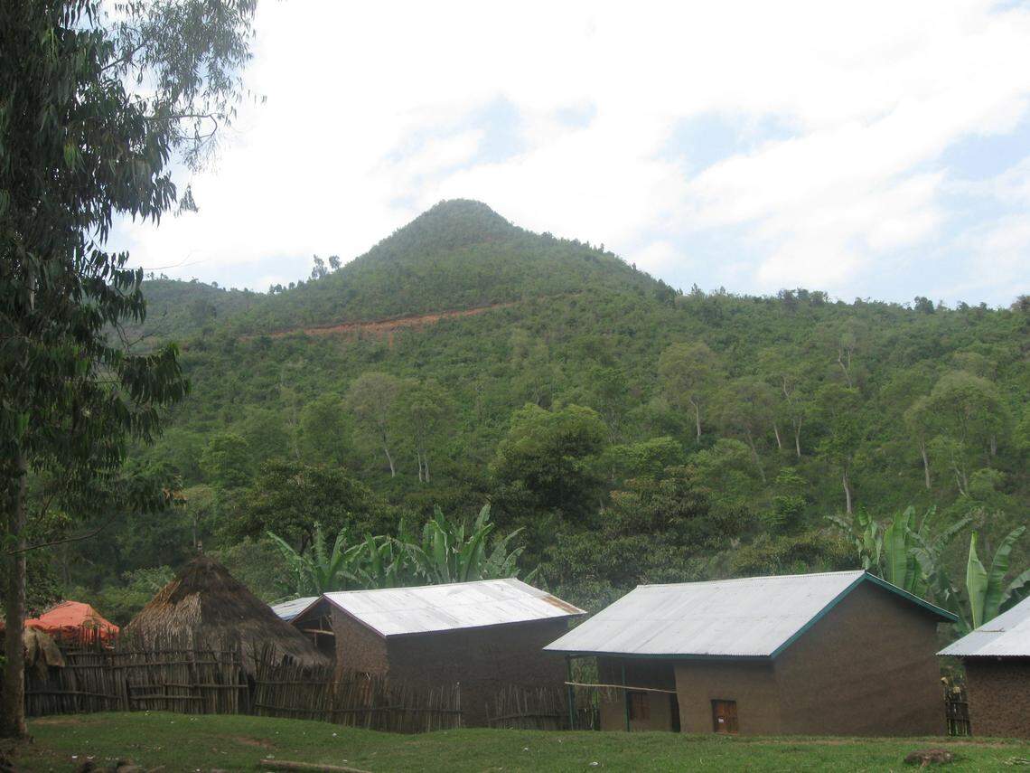 Scientists kept a 4-foot-long predator in captivity for over a decade and discovered a new species from Ethiopia, a study said.