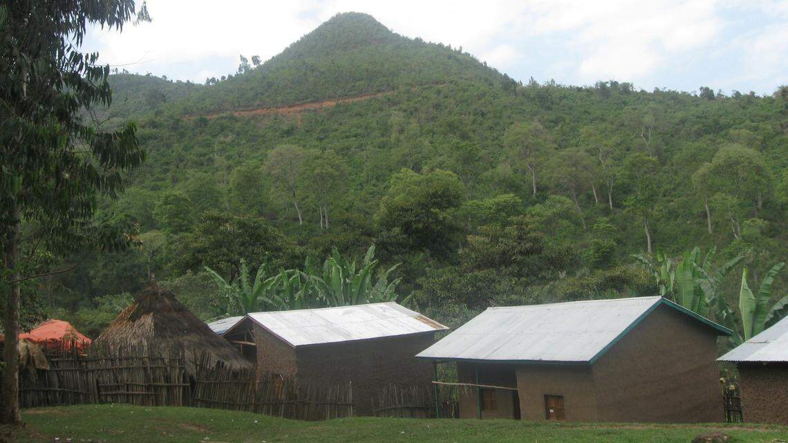 Scientists kept a 4-foot-long predator in captivity for over a decade and discovered a new species from Ethiopia, a study said.